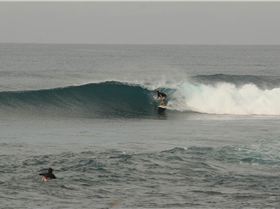 Screen Shot 2016-12-28 at 11.28.48 am