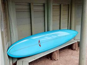 31351894286 06c308de19 o