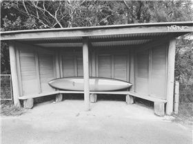 31019058480 dece66b26e o