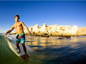 ElliotDudley WesternSahara AlanvanGysen 960 640 s