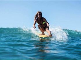 13118842 502601899932022 7400056750189479030 n