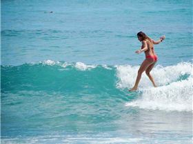 12741990 1203981882962891 2387304151273377464 n