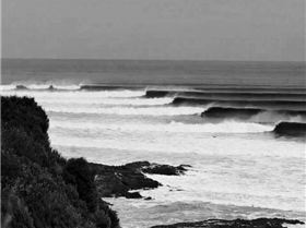 16174902 1702047749820611 5810665690079727251 n