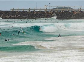 Screen Shot 2017-01-23 at 10.12.33 am