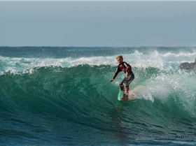 13138930 1714698592134037 482870112318493381 n