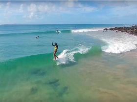 noosa8vid