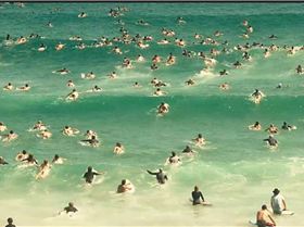 Screen Shot 2017-02-07 at 4.02.56 pm