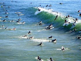 Screen Shot 2017-02-07 at 4.03.09 pm