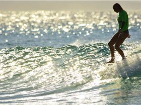 15492110 1289516451094574 8570118411363629850 n