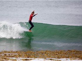 15400382 1290687547644131 3586292545178493444 n