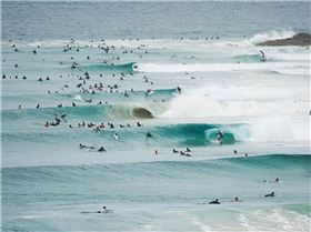 Screen Shot 2017-02-07 at 4.03.29 pm