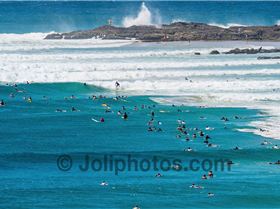 Screen Shot 2017-02-07 at 4.03.50 pm