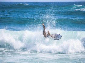 16603010 10158431417440647 98510406263959396 n