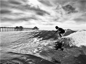 16113937 1333932973319588 7804335241232795854 n