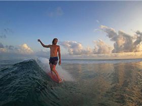 16299271 1341478542565031 3869942229711631819 n