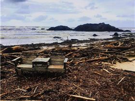 17390402 10158466495290323 1895867584196716627 o