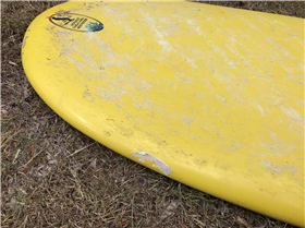 Swap Noosa 66 for In the Pink