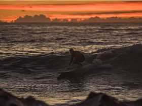 33750976152 11671f66bc o