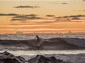 33907416265 df02b048fb o