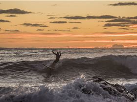 33777947181 6cf7d8bb76 o