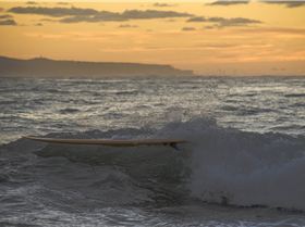 33777932511 8156966ec8 o