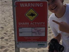 17861580 10212891624145773 6531924896012063835 n