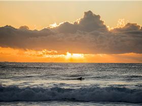 33915145141 37a8a460df o