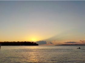 33660449810 01961ee302 o