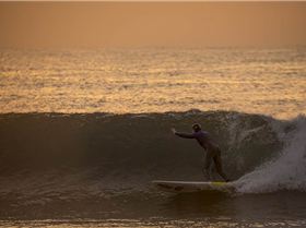 34037527156 f38d04495e o