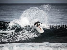 Yallingup 21/22 April 2017