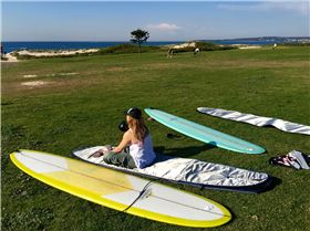 30097241613 550d8a310f o