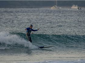 33684392013 d4a2d84b43 o