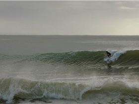 7188811063 8446f8bb0c o