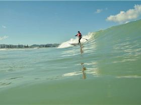 18402564 1909576109320209 1835478157792227733 n