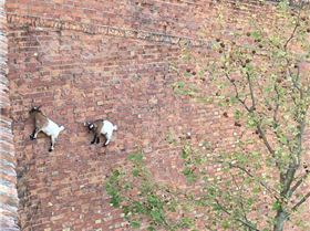 18485836 1964266587135303 3162547662246230995 n