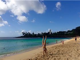 16707097954 d55242070f o