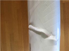 Js front foot crease