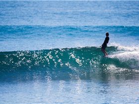 LetThemLog Josh Full TBD