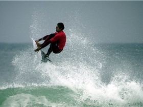 Trigg Marmion various