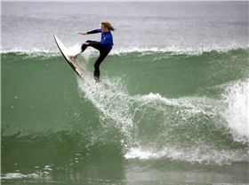 Trigg Marmion various