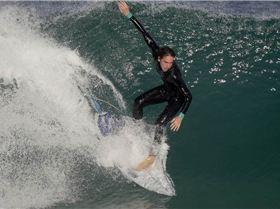 Trigg Marmion various