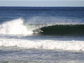 2571833630 1e14ea73a8 o