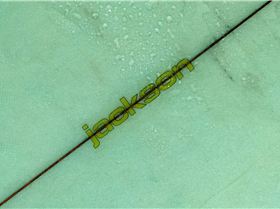 29288197163 2a6707b212 k