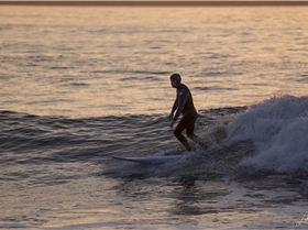  HDZ5006 3873x2582 1918977