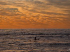 HZ1 0030 3873x2582 1918982