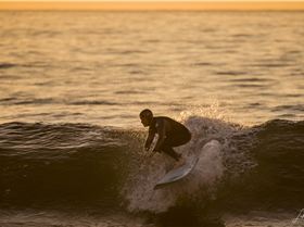  HDZ5015 3873x2582 1918979