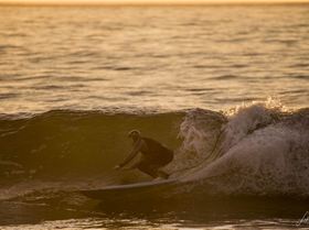  HDZ5016 3870x2584 1918980