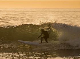  HDZ5040 3873x2582 1918981