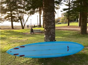 36101424530 9a15d0895c o