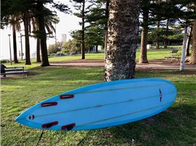 35663310344 828406fa31 o